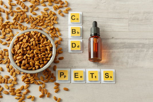 How To Choose The Best CBD Pet Products