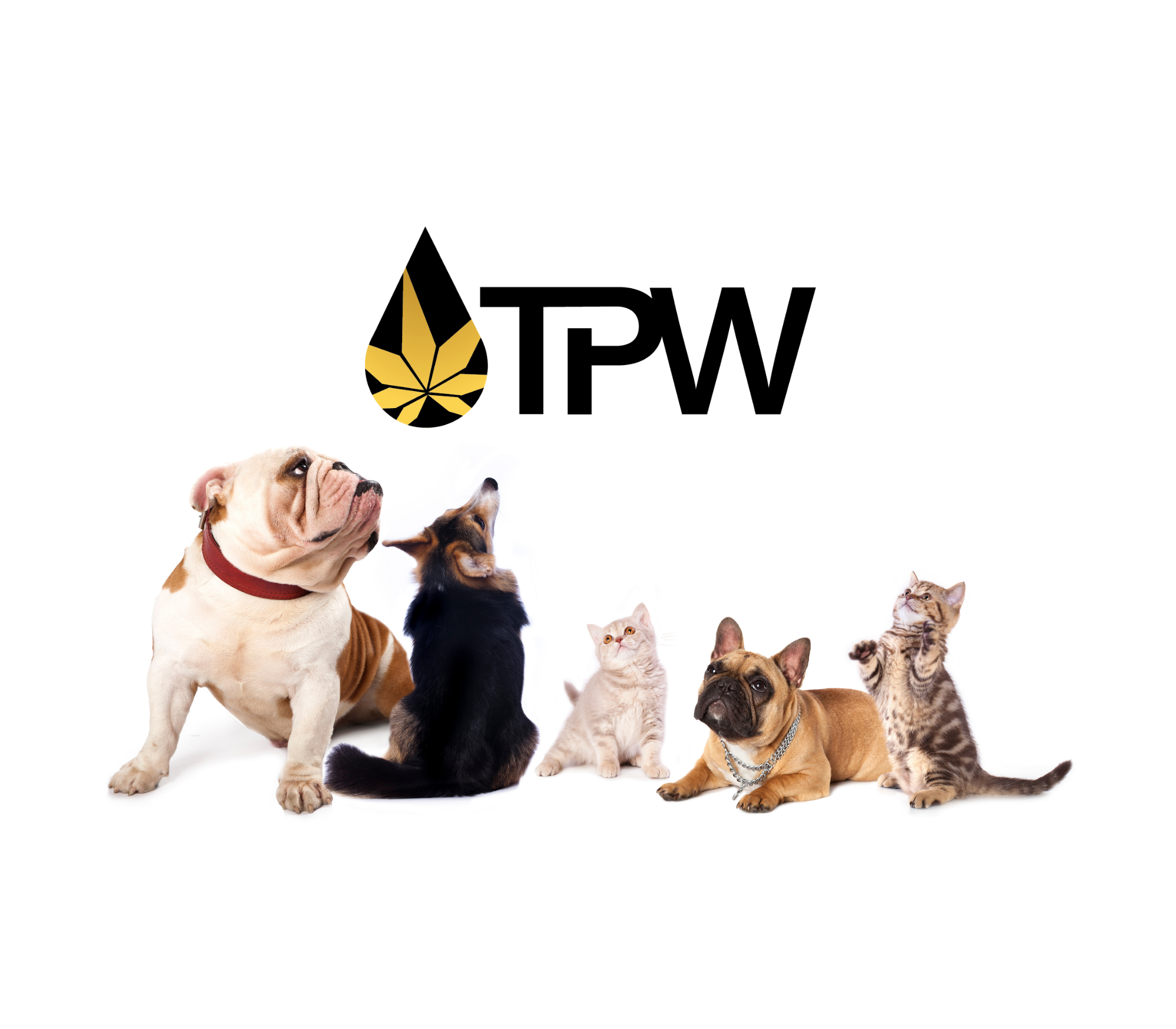 tpw banner
