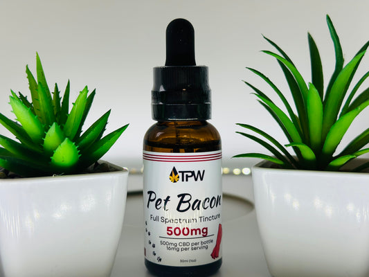 Pet Tincture Full Spectrum Bacon Flavor